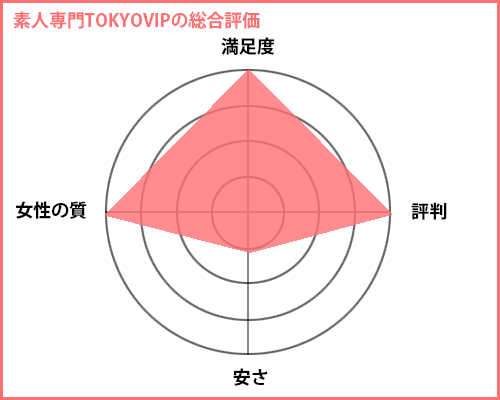 素人専門TOKYOVIPの評価